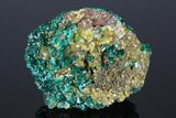 Gemmy Dioptase Clusters with Mimetite - N'tola Mine, Congo #175942-1